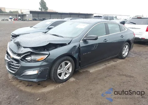 2019 Chevrolet Malibu 1Ls z USA, uszkodzony, nr VIN 1G1ZB5ST8KF204205